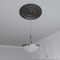 Ekena Millwork Cole PVC Medallion (Canopies up to 6"), 22"OD x 3 1/2"ID x 1"P, Metallic Weathered Steel CMP22CODST - alternate 7